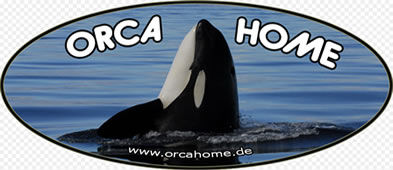 - Orcas in Captivity